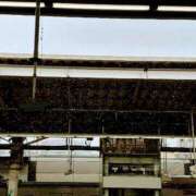 ヒメ日記 2025/03/19 12:28 投稿 まこ 出会い系人妻ネットワーク 五反田～品川編