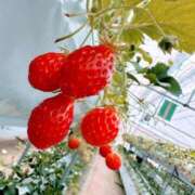 ヒメ日記 2025/03/23 16:26 投稿 まこ 出会い系人妻ネットワーク 五反田～品川編