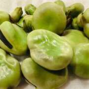 ヒメ日記 2025/04/08 20:32 投稿 まこ 出会い系人妻ネットワーク 五反田～品川編