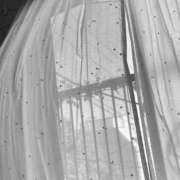 ヒメ日記 2025/04/18 13:15 投稿 まこ 出会い系人妻ネットワーク 五反田～品川編