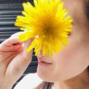 ヒメ日記 2025/04/19 09:15 投稿 まこ 出会い系人妻ネットワーク 五反田～品川編