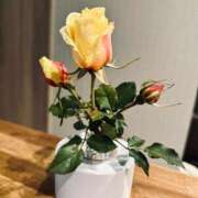 ヒメ日記 2025/04/22 07:01 投稿 まこ 出会い系人妻ネットワーク 五反田～品川編