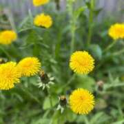 ヒメ日記 2025/05/08 15:27 投稿 まこ 出会い系人妻ネットワーク 五反田～品川編