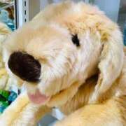 ヒメ日記 2025/05/12 17:22 投稿 まこ 出会い系人妻ネットワーク 五反田～品川編