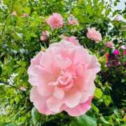 ヒメ日記 2025/05/15 18:29 投稿 まこ 出会い系人妻ネットワーク 五反田～品川編