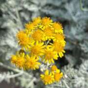 ヒメ日記 2025/05/21 12:58 投稿 まこ 出会い系人妻ネットワーク 五反田～品川編