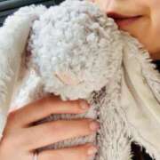 ヒメ日記 2025/05/22 07:30 投稿 まこ 出会い系人妻ネットワーク 五反田～品川編