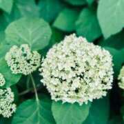 ヒメ日記 2025/05/27 08:15 投稿 まこ 出会い系人妻ネットワーク 五反田～品川編