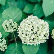 ヒメ日記 2025/05/29 13:20 投稿 まこ 出会い系人妻ネットワーク 五反田～品川編