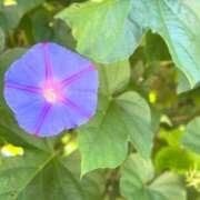 ヒメ日記 2025/06/22 06:15 投稿 まこ 出会い系人妻ネットワーク 五反田～品川編