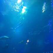 ヒメ日記 2026/04/04 21:10 投稿 由衣(ゆい) 難波泡洗体ハイブリッドエステ