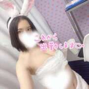 ヒメ日記 2025/03/20 19:03 投稿 かりな Gossip girl小岩店