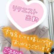 ヒメ日記 2025/03/13 13:50 投稿 彩星(あやせ) Ｓ＆Ｍ　極嬢