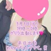 ヒメ日記 2026/03/02 00:20 投稿 彩星(あやせ) Ｓ＆Ｍ極嬢