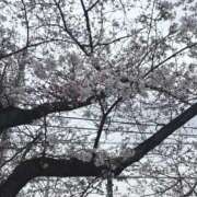 ヒメ日記 2026/03/25 10:20 投稿 彩星(あやせ) Ｓ＆Ｍ極嬢