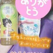 ヒメ日記 2026/08/16 00:20 投稿 彩星(あやせ) Ｓ＆Ｍ極嬢