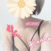 ヒメ日記 2026/03/27 09:45 投稿 秋月 新宿人妻城