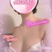 ヒメ日記 2026/04/04 10:01 投稿 秋月 新宿人妻城