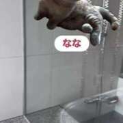 ヒメ日記 2025/08/17 16:03 投稿 なな 五反田・品川おかあさん