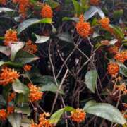 ヒメ日記 2025/10/28 14:13 投稿 なな 五反田・品川おかあさん