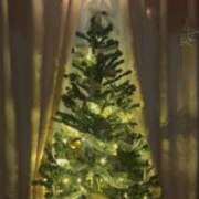 ヒメ日記 2025/12/12 23:33 投稿 なな 五反田・品川おかあさん