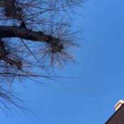 ヒメ日記 2026/01/12 08:23 投稿 なな 五反田・品川おかあさん