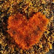 ヒメ日記 2026/03/11 17:03 投稿 なな 五反田・品川おかあさん