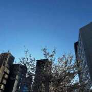 なな 花見いかがです？🌸 五反田・品川おかあさん