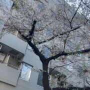 なな 五反田到着🌸 五反田・品川おかあさん