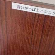 ヒメ日記 2026/09/13 12:04 投稿 なな 五反田・品川おかあさん