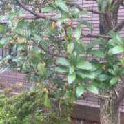 ヒメ日記 2026/10/06 18:43 投稿 なな 五反田・品川おかあさん