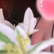 ヒメ日記 2025/07/22 09:20 投稿 みか THE ESUTE HOUSE 柴田