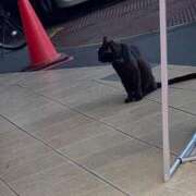 ヒメ日記 2025/07/22 12:23 投稿 みか THE ESUTE HOUSE 柴田