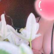 ヒメ日記 2025/07/25 14:50 投稿 みか THE ESUTE HOUSE 柴田