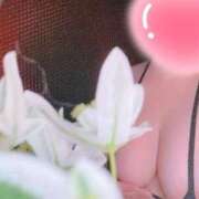 ヒメ日記 2025/09/08 15:17 投稿 みか THE ESUTE HOUSE 柴田