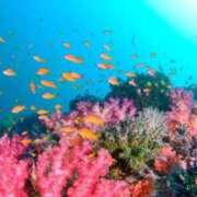 ヒメ日記 2025/09/10 13:16 投稿 みか THE ESUTE HOUSE 柴田