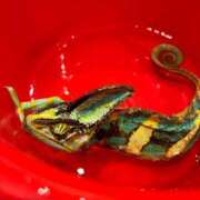 ヒメ日記 2024/12/08 14:15 投稿 いずな 熟女家 ミナミエリア店