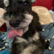 ヒメ日記 2024/12/13 08:55 投稿 いずな 熟女家 ミナミエリア店