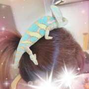 ヒメ日記 2024/12/22 12:35 投稿 いずな 熟女家 ミナミエリア店