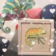 ヒメ日記 2025/01/27 11:45 投稿 いずな 熟女家 ミナミエリア店