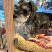 ヒメ日記 2025/02/01 13:15 投稿 いずな 熟女家 ミナミエリア店