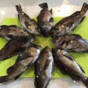 ヒメ日記 2025/03/02 12:35 投稿 いずな 熟女家 ミナミエリア店