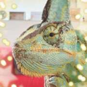 ヒメ日記 2025/03/09 17:07 投稿 いずな 熟女家 ミナミエリア店