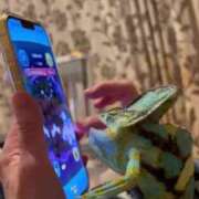 ヒメ日記 2025/04/10 12:15 投稿 いずな 熟女家 ミナミエリア店