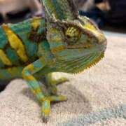 ヒメ日記 2025/09/01 10:09 投稿 いずな 熟女家 ミナミエリア店