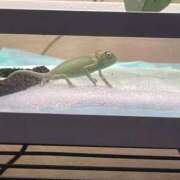 ヒメ日記 2025/10/17 23:25 投稿 いずな 熟女家 ミナミエリア店