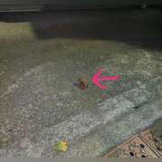 ヒメ日記 2025/01/01 19:53 投稿 しぐれ One More 奥様　錦糸町店