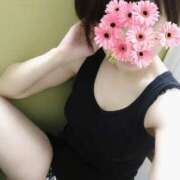 ヒメ日記 2025/06/11 10:04 投稿 しぐれ One More 奥様　錦糸町店