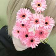 ヒメ日記 2025/07/30 10:09 投稿 しぐれ One More 奥様　錦糸町店