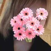 ヒメ日記 2025/11/15 19:13 投稿 しぐれ One More 奥様　錦糸町店